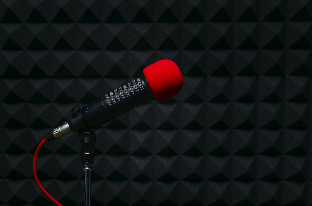 3 Things To Know Before Hiring Voiceover Talent | ProVoice USA Blog